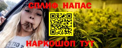 стафф Славгород