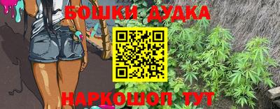 стафф Славгород