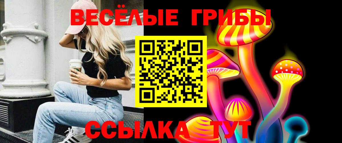 Галлюциногенные грибы Magic Shrooms Люберцы